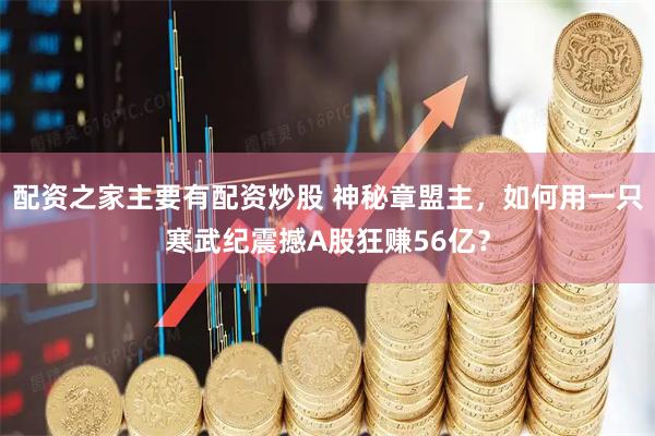 配资之家主要有配资炒股 神秘章盟主，如何用一只寒武纪震撼A股狂赚56亿？