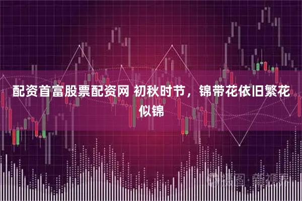 配资首富股票配资网 初秋时节，锦带花依旧繁花似锦