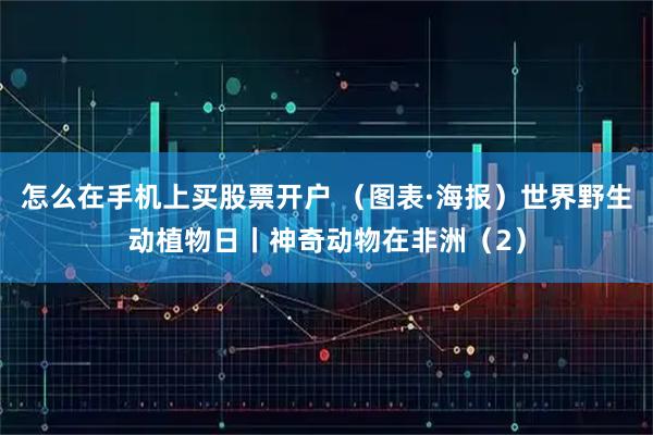 怎么在手机上买股票开户 （图表·海报）世界野生动植物日丨神奇动物在非洲（2）