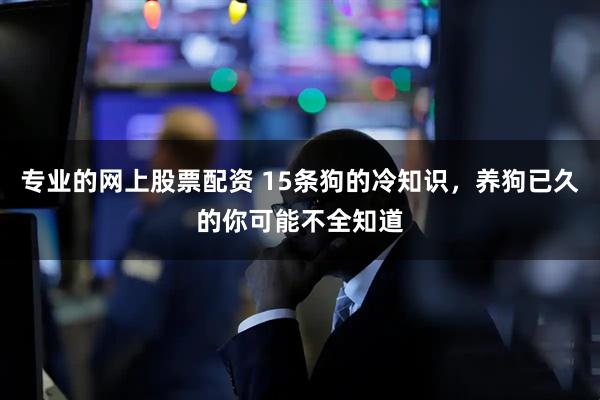 专业的网上股票配资 15条狗的冷知识，养狗已久的你可能不全知道